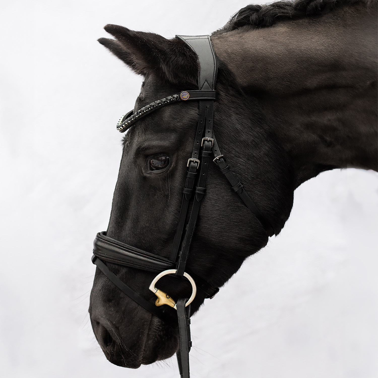 Bridle wear best sale